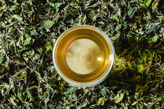 Té Blanco, el té más antiguo de todos