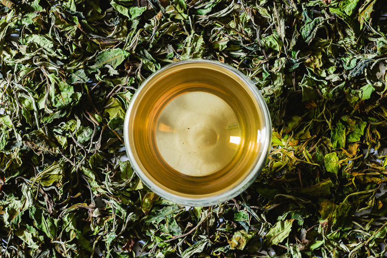 Té Blanco, el té más antiguo de todos